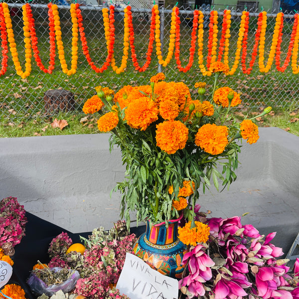 Marigold Garlands - 58 inches long - perfect for wrapping ofrenda armitures