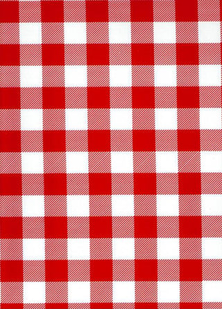 Mexican Oilcloth - Picnic Check in Red