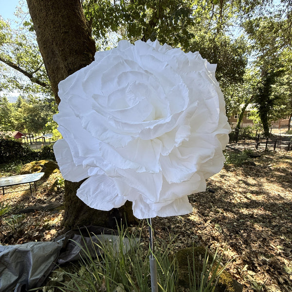 White Flowers - Medium