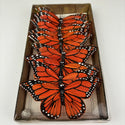 Monarch Butterfly String