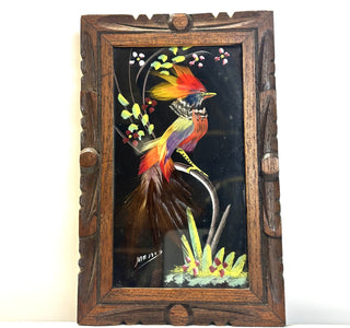 Feather Bird Picture Looking Right