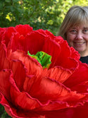 Gigantic Paper Miracle Flowers