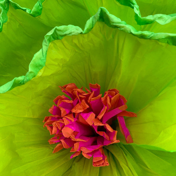 Gigantic Paper Miracle Flowers