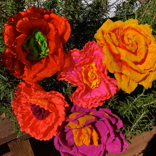 Ofrenda Flower Pack - 5 large flowers