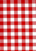 Mexican Oilcloth - Picnic Check in Red
