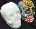 Blank Papier Mache Skull - Large