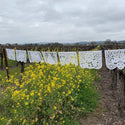 Large White Wedding Papel Picado Banner