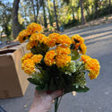 Mini Marigolds Bouquets - Yellow