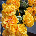 Mini Marigolds Bouquets - Yellow