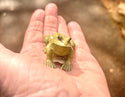 Frog - Japanese Carved