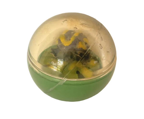 Frog - Floating in a Bubble