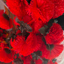 Marigold Garland - Red