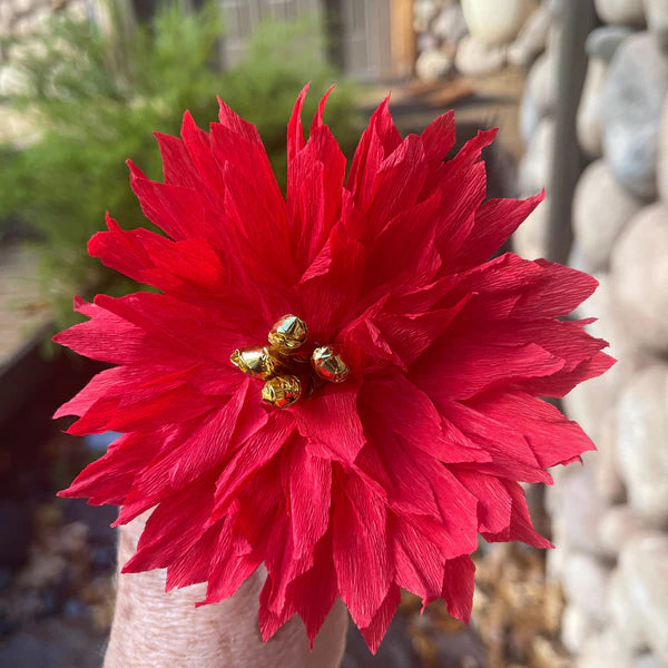 Red Poinsettia's w/Gold Center