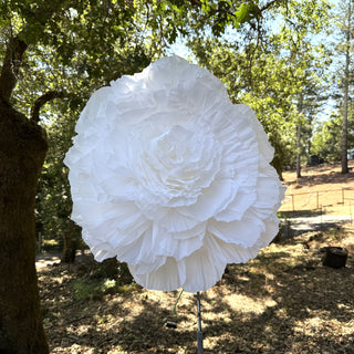 Handmade Paper Flowers