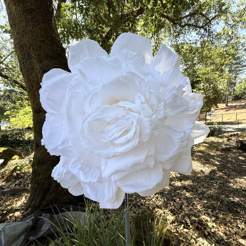 White Flowers - Large