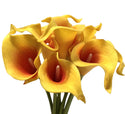 Calla Lily  -