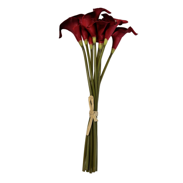 Calla Lily - Red
