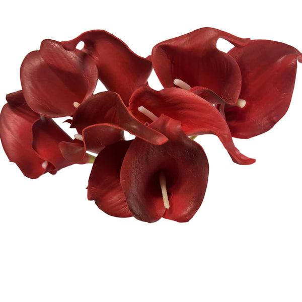 Calla Lily - Red