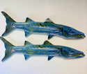 Fish - Barracuda