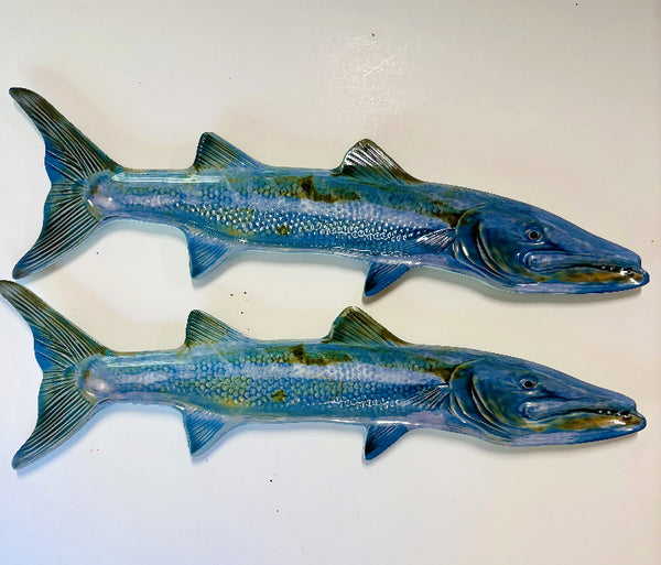 Fish - Barracuda