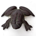 Frog - Cast Bronzed