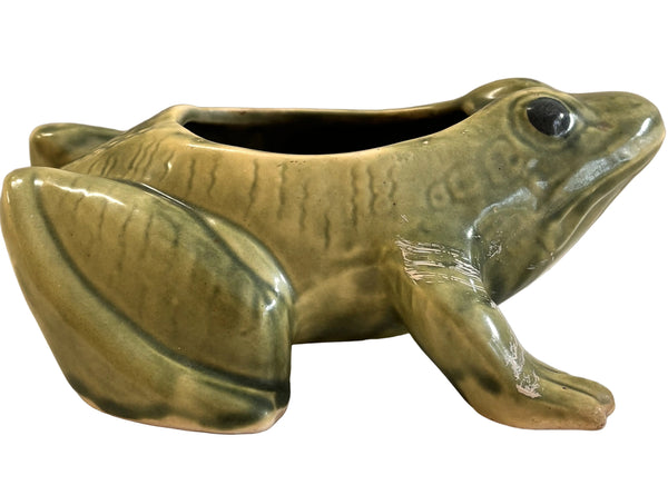 Frog Planter - Succulants