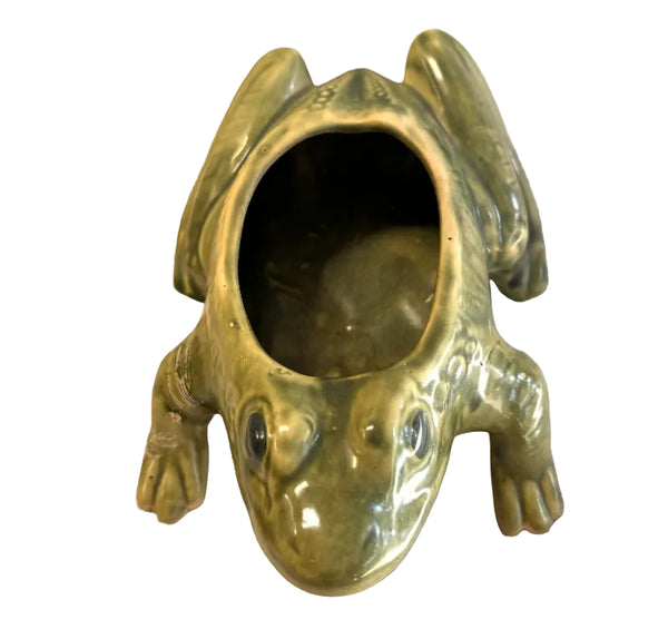 Frog Planter - Succulants