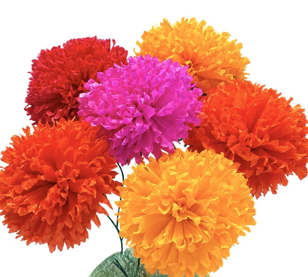 Marigolds - 6pk - Multicolored