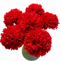 Marigolds - 6pk - Red - Cockcom's