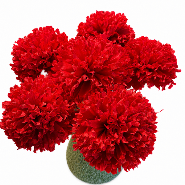 Marigolds - 6pk - Red - Cockcom's