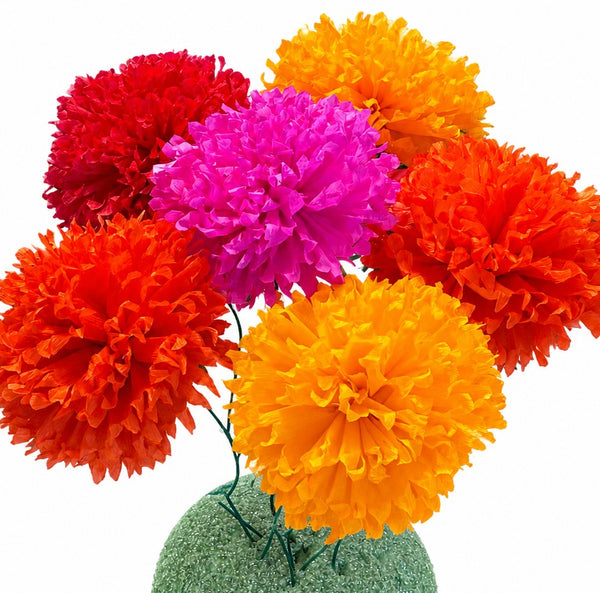 Marigolds - 6pk - Multicolored