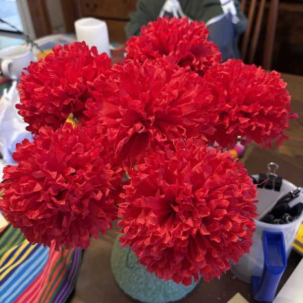 Marigolds - 6pk - Red - Cockcom's