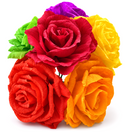Roses - Multicolored - 6 pk