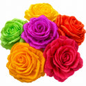 Roses - Multicolored - 6 pk