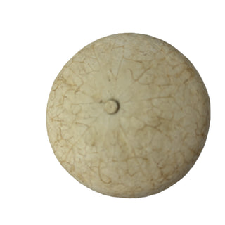 Orange Ring Box