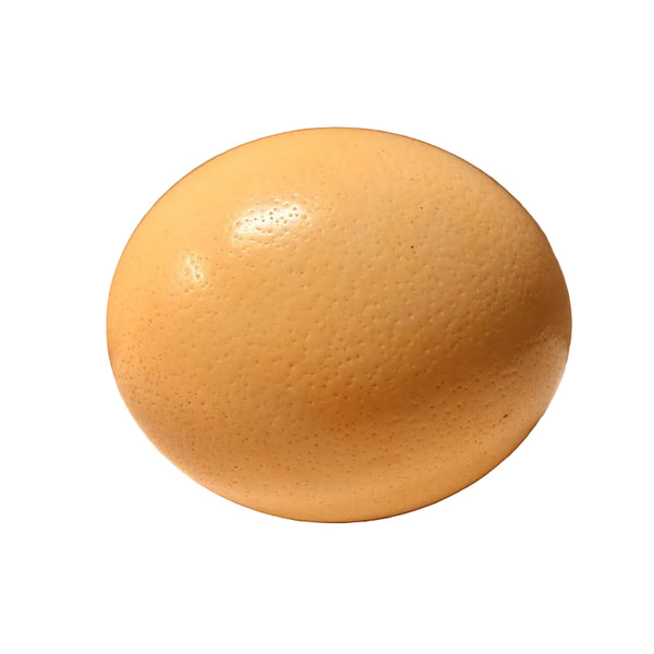 Ostrich Egg