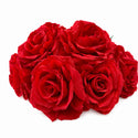 Roses - Red - 6 pk - 5 inch diameter