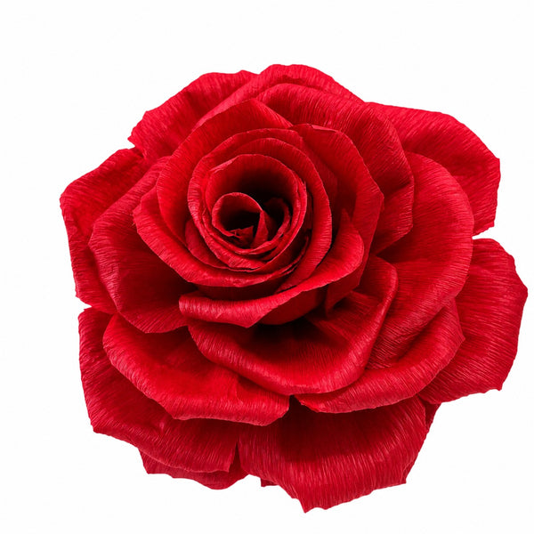 Roses - Red - 6 pk - 5 inch diameter