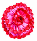 Torcida Flowers - Sold by the each