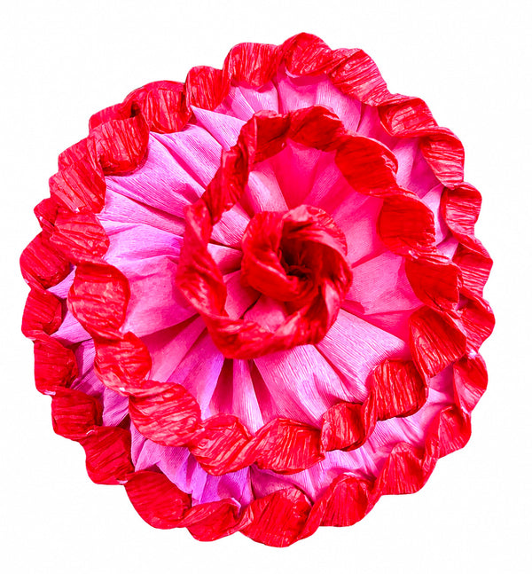 Torcida Flowers - Sold by the each