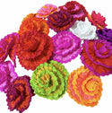 Torcida Flowers - Sold by the each