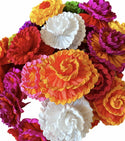 Torcida Flowers - Sold by the each