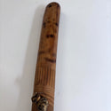 Walking Stick -