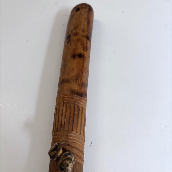 Walking Stick -