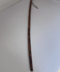 Walking Stick -