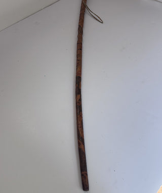 Walking Stick -