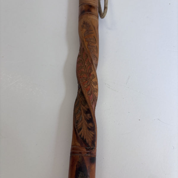 Walking Stick -