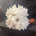 White Poinsettias - Dozen