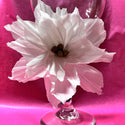 White Poinsettias - Dozen
