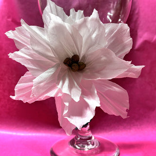 White Poinsettias - Dozen